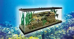 An empty aquarium for a home.